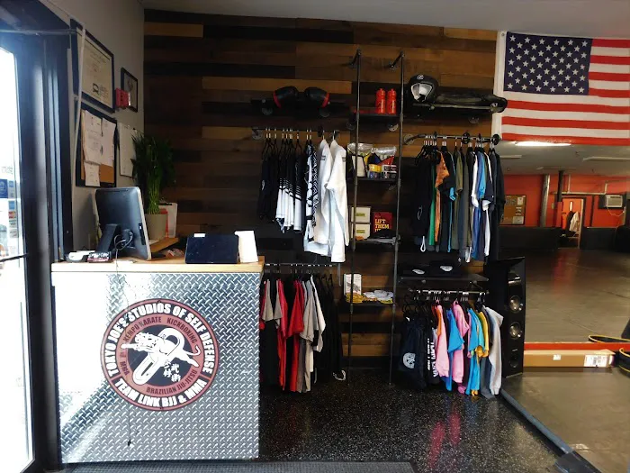 Tokyo Joe's Studios of Self Defense/Team Link NH Picture 1