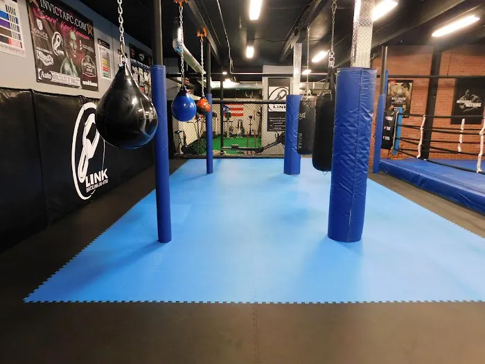 Tokyo Joe's Studios of Self Defense/Team Link NH Picture 3