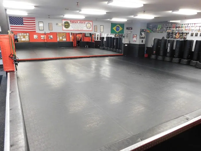 Tokyo Joe's Studios of Self Defense/Team Link NH Picture 2