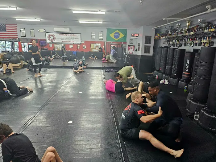 Tokyo Joe's Studios of Self Defense/Team Link NH Picture 5