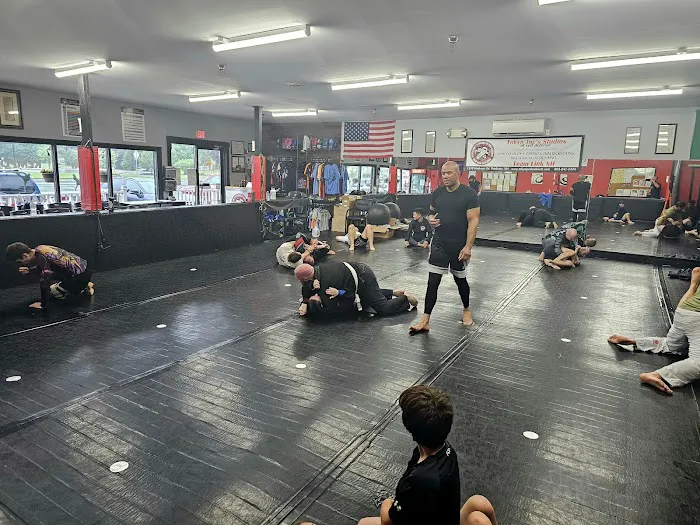 Tokyo Joe's Studios of Self Defense/Team Link NH Picture 6