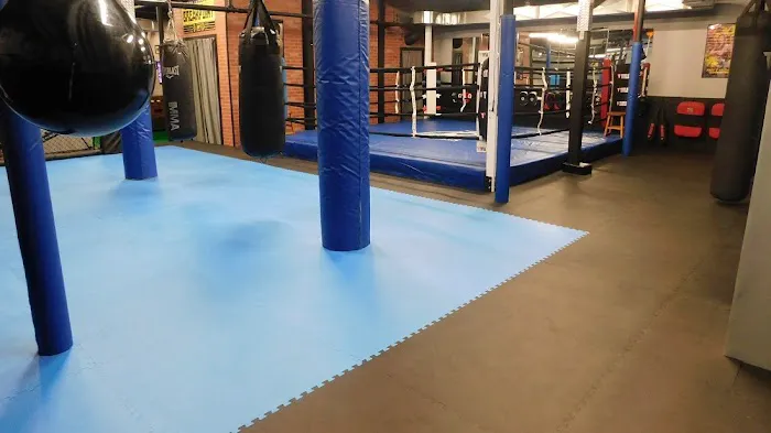 Tokyo Joe's Studios of Self Defense/Team Link NH Picture 9