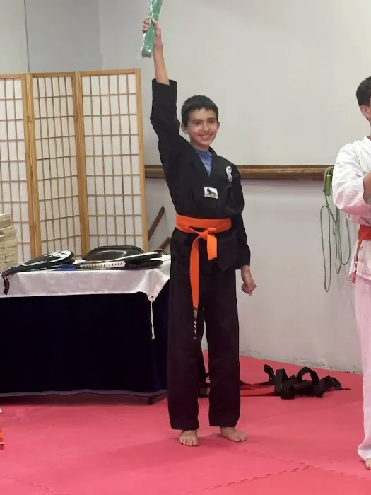 Bruce McCorry's Martial Arts Picture 4