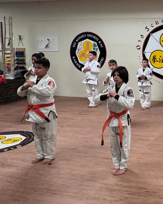 Old School Karate Academy & Brazilian Martial Arts Center of Peabody Picture 10