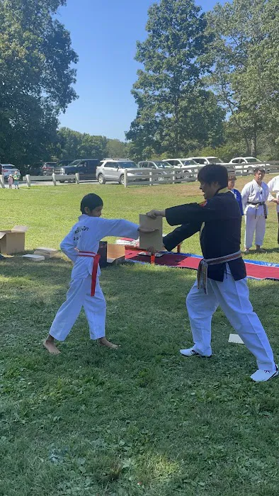 Sun Taekwondo Academy Picture 7