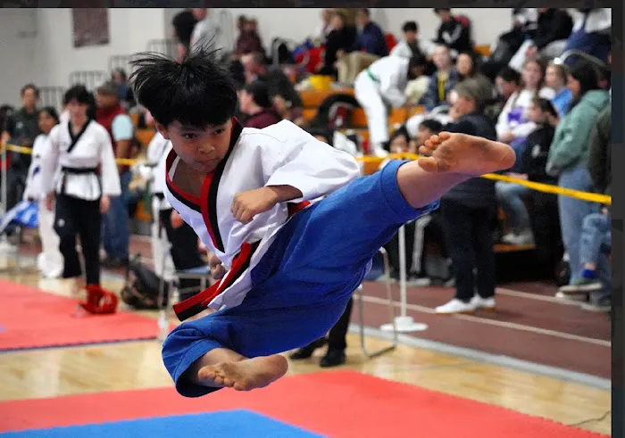 Tiger An's Taekwondo Peabody Picture 1