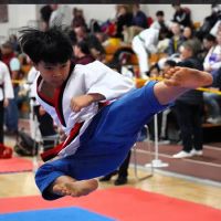 Tiger An's Taekwondo Peabody ico