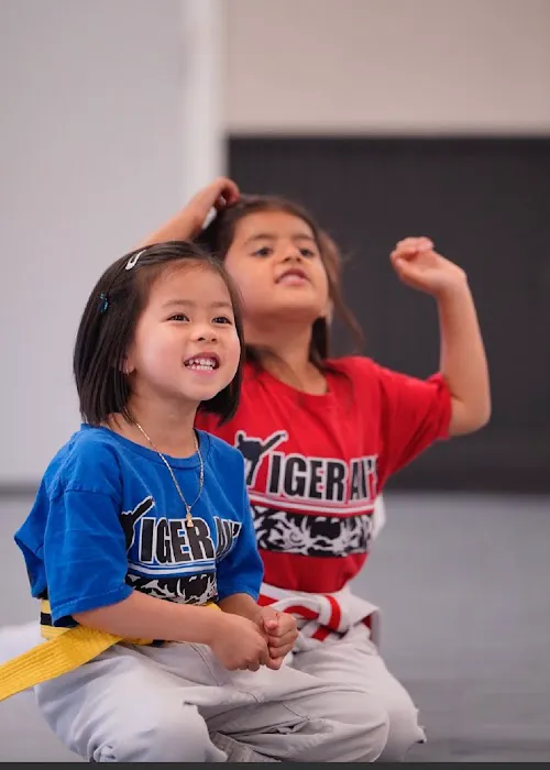 Tiger An's Taekwondo Peabody Picture 4