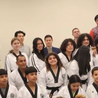 DW Kim's US Tae Kwon Do ico