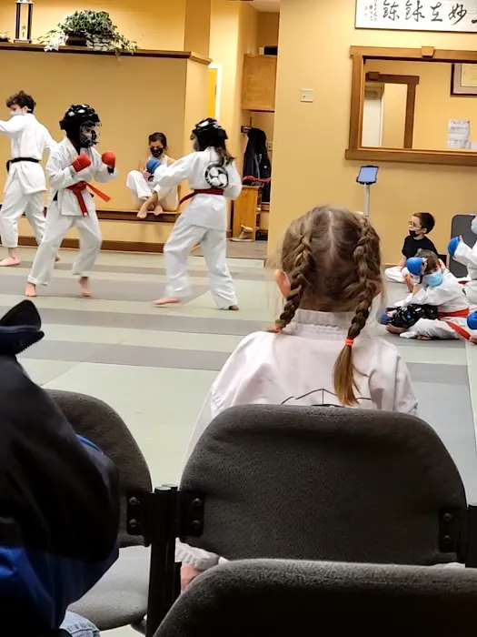 North Shore Karate Academy in Beverly Picture 6