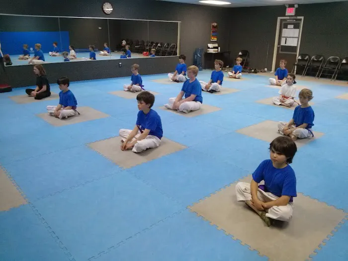 International Tae Kwon Do Academy Picture 2
