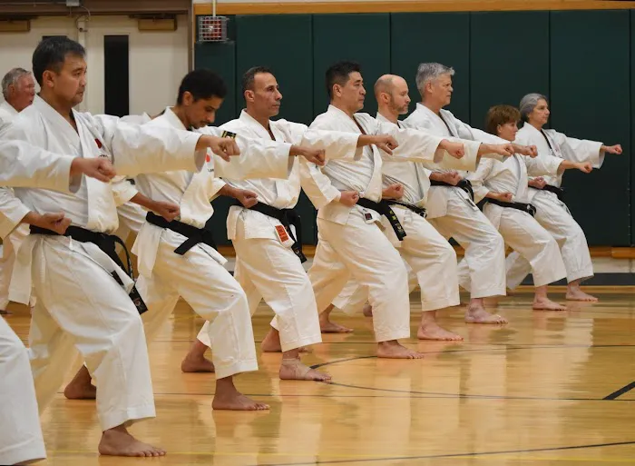 JKA Revere Martial Arts Center Picture 6