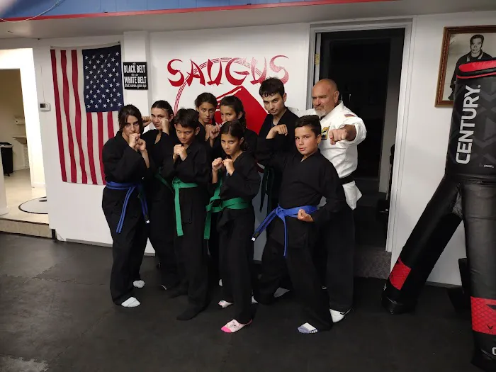 Saugus Karate Kung-Fu Picture 3