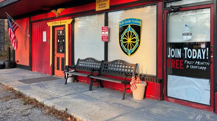 Budo Karate Academy tm Picture 1