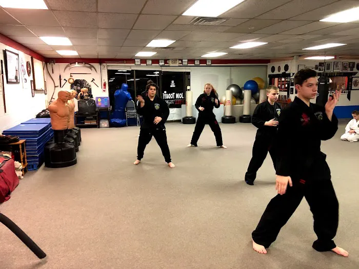 Budo Karate Academy tm Picture 3