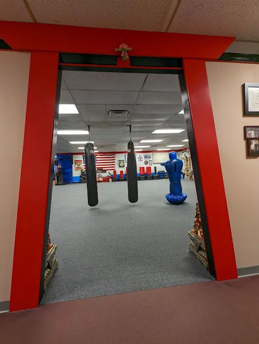 Budo Karate Academy tm Picture 7