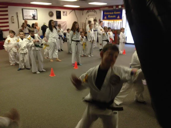 Budo Karate Academy tm Picture 10