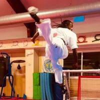 Thurston Academy-Martial Arts ico