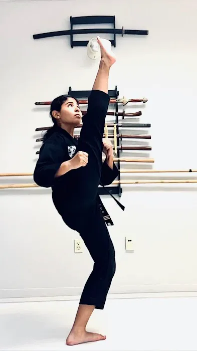 Thurston Academy-Martial Arts Picture 7