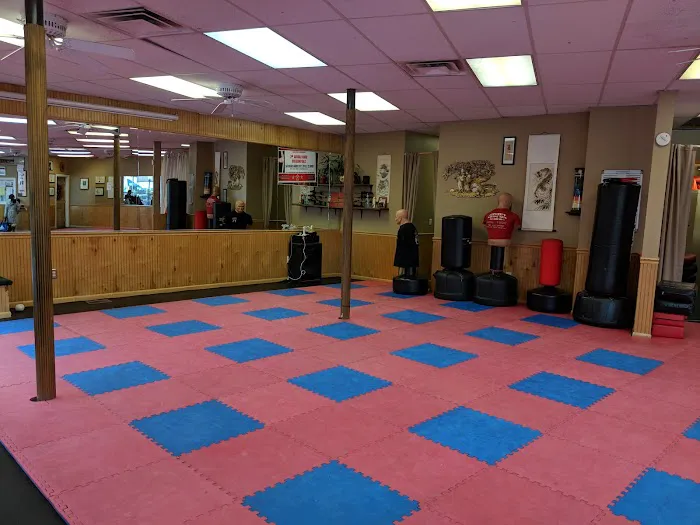 Cervizzi's Martial Arts Academy Picture 8