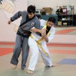 World Sin Moo Hapkido Association of Northern Virginia