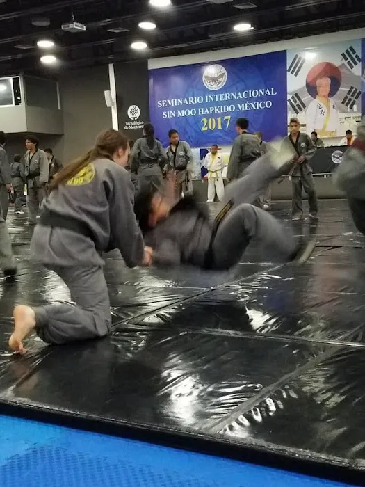 World Sin Moo Hapkido Association of Northern Virginia Picture 9