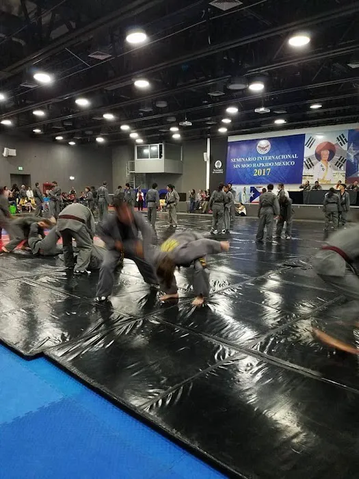 World Sin Moo Hapkido Association of Northern Virginia Picture 10