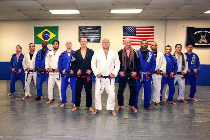 Dominion BJJ Picture 3