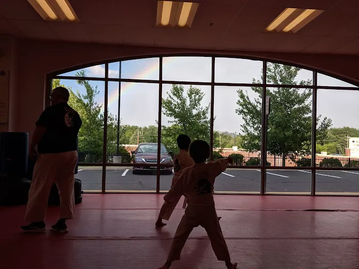 Twin Dragon Martial Arts Picture 3