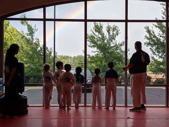 Twin Dragon Martial Arts Picture 2