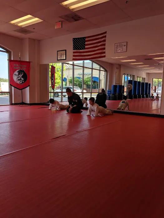 Twin Dragon Martial Arts Picture 1