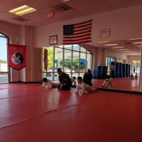 Twin Dragon Martial Arts ico