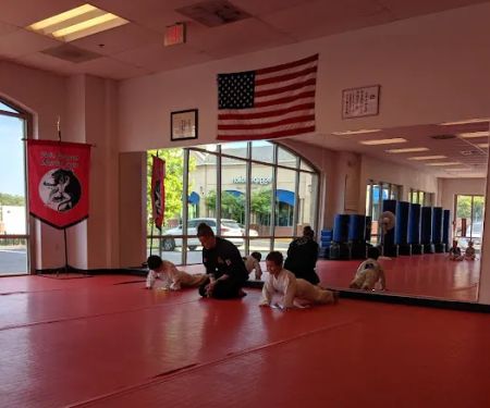 Twin Dragon Martial Arts