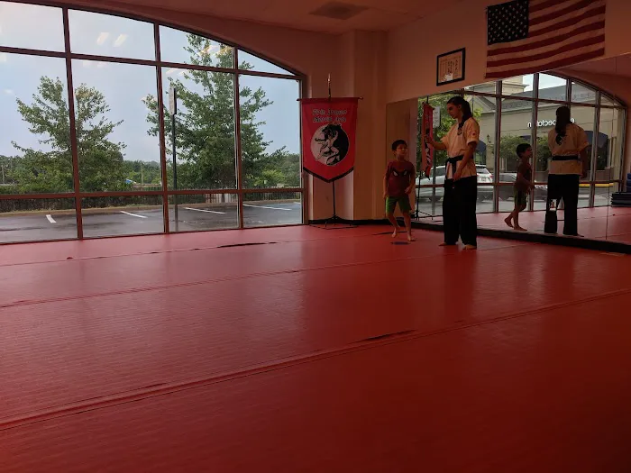 Twin Dragon Martial Arts Picture 4