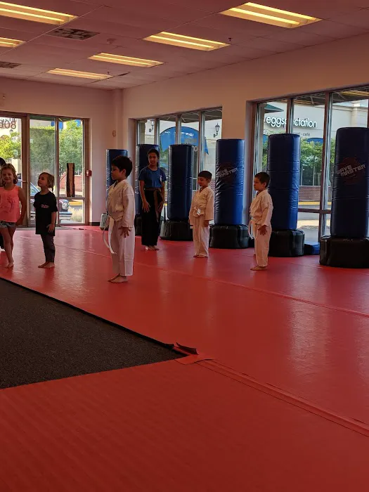 Twin Dragon Martial Arts Picture 8