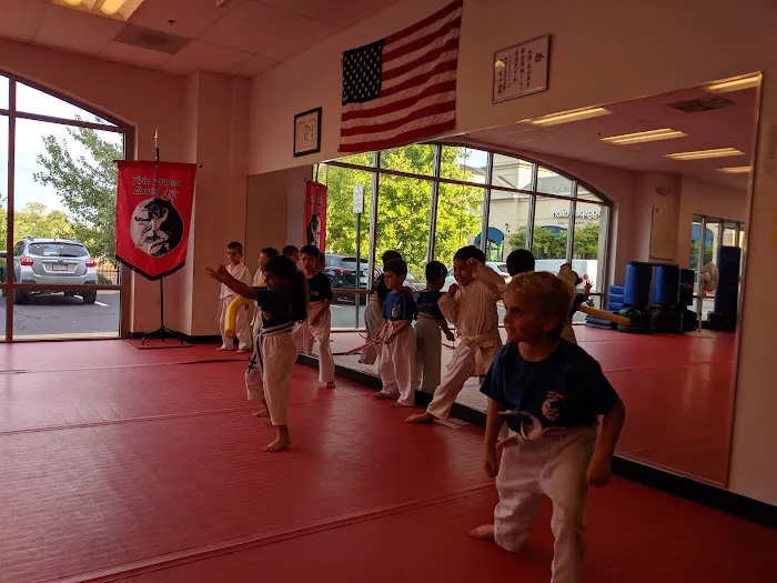 Twin Dragon Martial Arts Picture 7