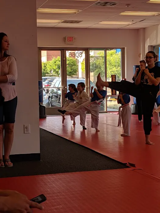 Twin Dragon Martial Arts Picture 6