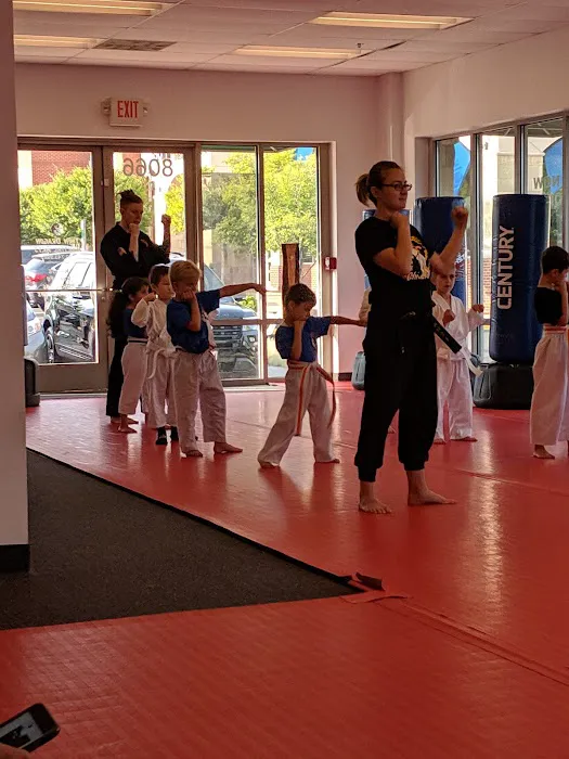 Twin Dragon Martial Arts Picture 9