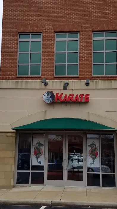 Twin Dragon Martial Arts Picture 10