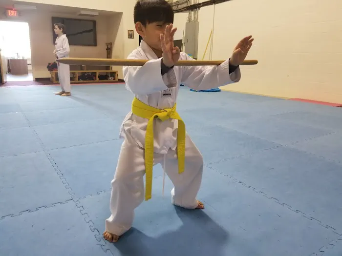 Oriental Sports Academy Picture 2