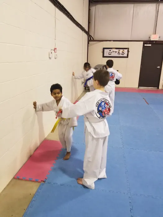 Oriental Sports Academy Picture 5