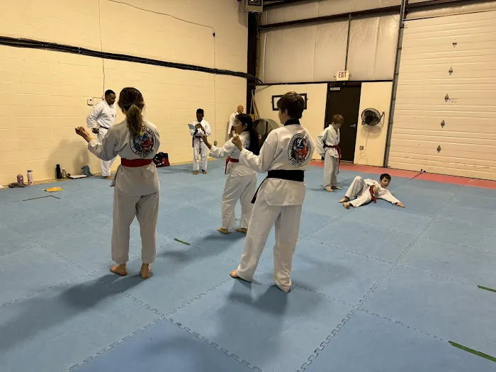 OSA Martial Arts-Manassas Picture 9