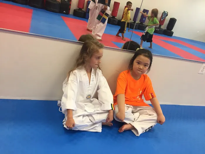 Mountain Kim Martial Arts Picture 1