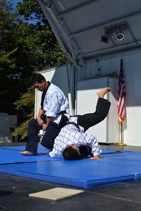 Mountain Kim Martial Art Spirit Manassas Picture 6