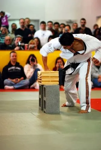 Mountain Kim Martial Art Spirit Manassas Picture 3