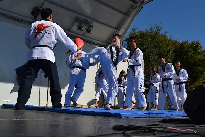 Mountain Kim Martial Art Spirit Manassas Picture 5