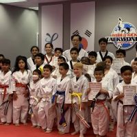 World Kick Taekwondo ico