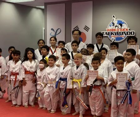 World Kick Taekwondo