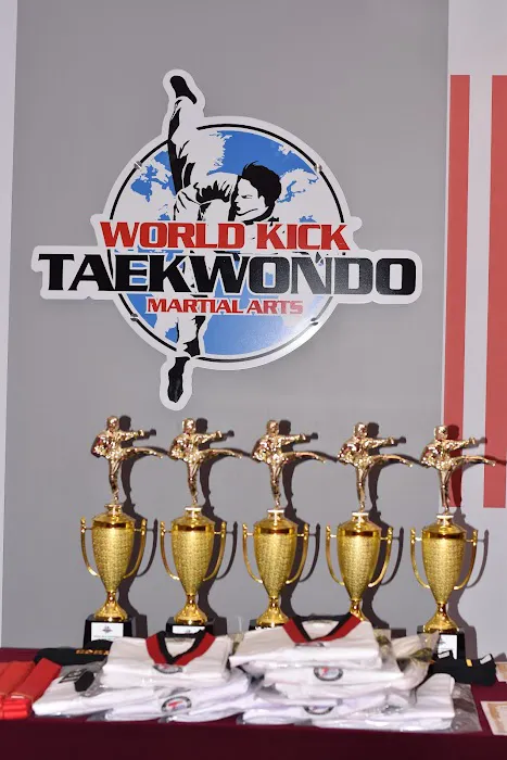 World Kick Taekwondo Picture 3