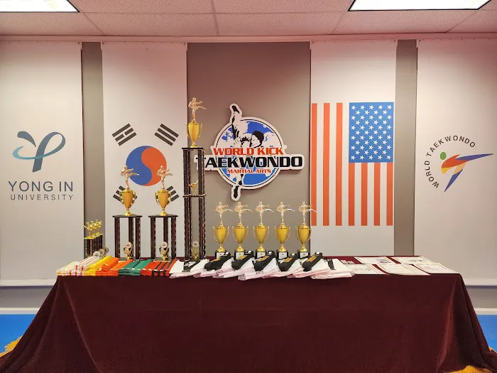 World Kick Taekwondo Picture 4